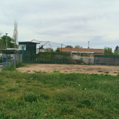 Image of a baseball field overgrown with weeds.